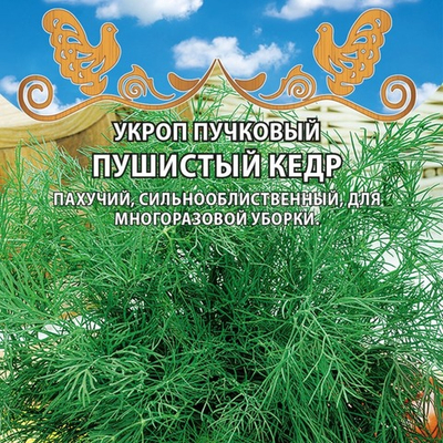 Укроп пучковый Пушистый кедр