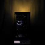 Ryzen 7 9800X3D + RTX 5090 32Gb