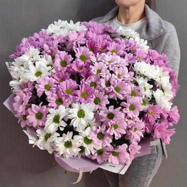 Букет из 17 кустовых хризантем