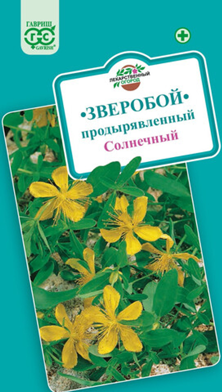 Зверобой продырявленный Солнечный