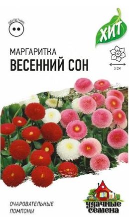 Маргаритка