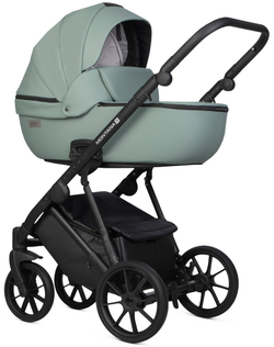Детская коляска Riko Basic Montana X Ecco 2 в 1 21 Green (зеленый)