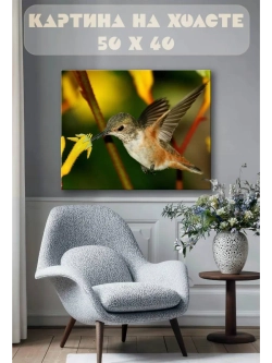 Картина на стену 40 X 50 Колибри