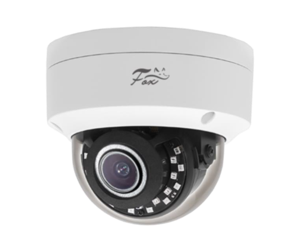 FX-IPC-D40AP-IR AI
