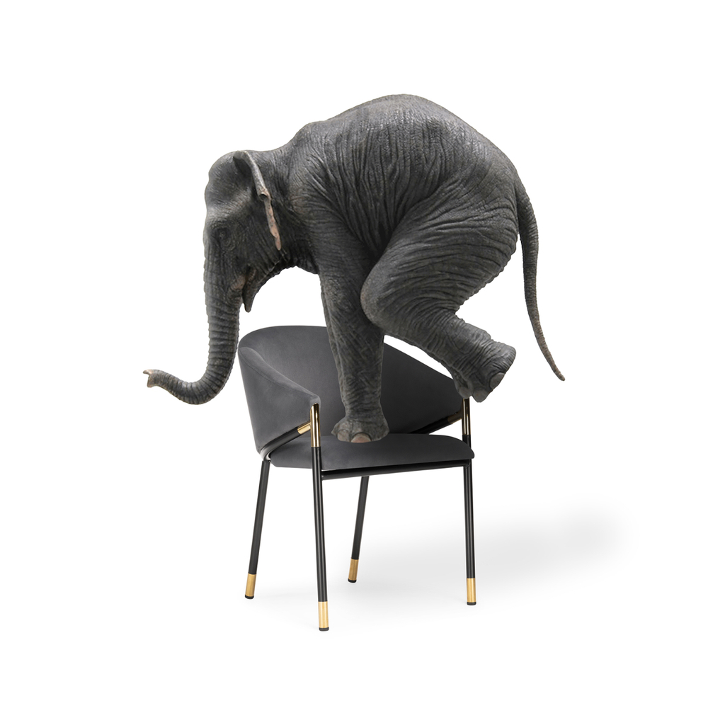 Стул на металлокаркасе Woodville Molton gray, black/ gold