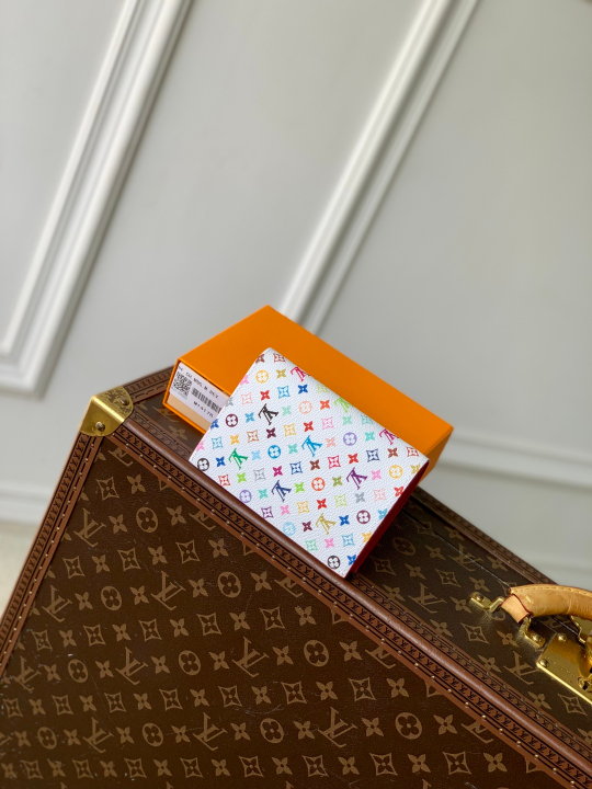 Louis Vuitton Passport Cover