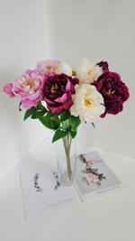 Пион Император / Арт 2571