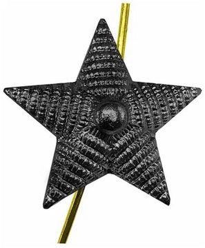 Звезда на погоны (ФСИН) мет. 20 мм (риф.) черн.