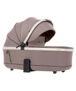 Коляска 2 в 1 Carrello Vector CRL-6550