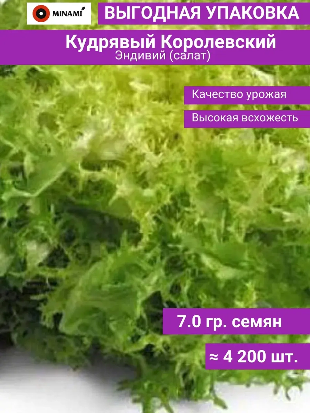 Эндивий салат Кудрявый Королевский семена 7гр (4200шт)