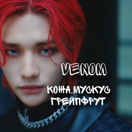 Stray kids - "Venom"