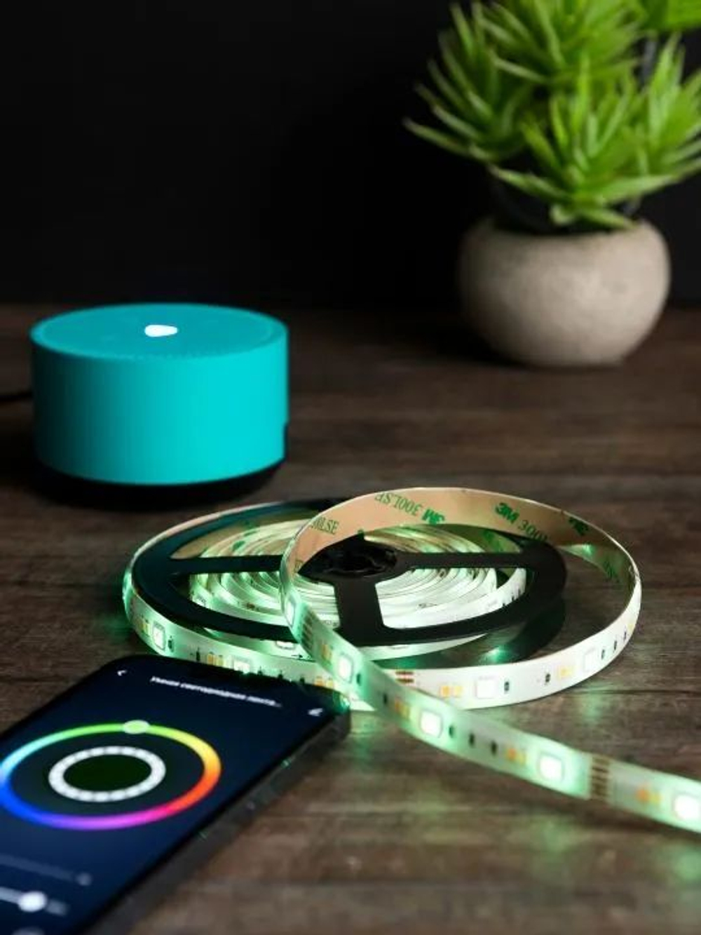 Лента светодиодная умная EKF Connect RGBW 3 м (slswf-3-rgbw)