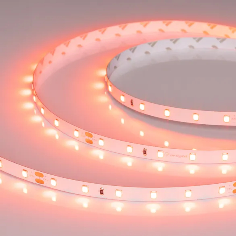 Светодиодная лента RT-A60-8mm 24V Carrot (4.8 W/m, IP20, 5m) (Arlight, -) 055375