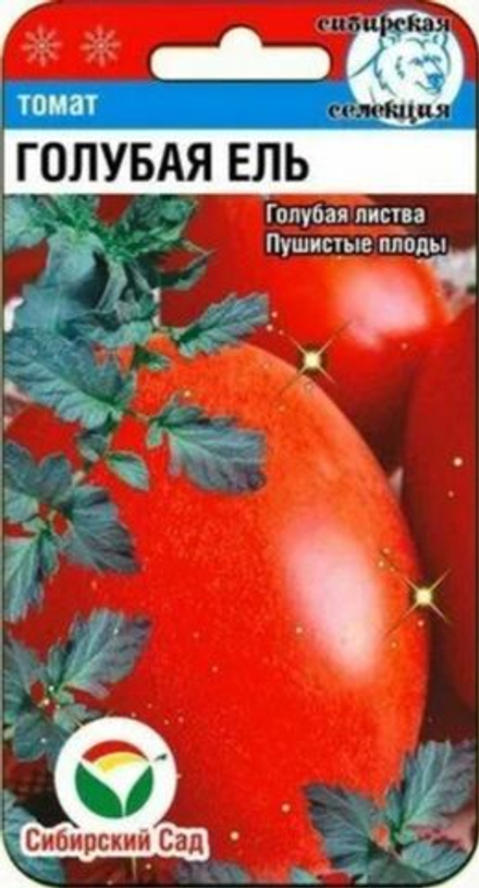 Томат Голубая ель