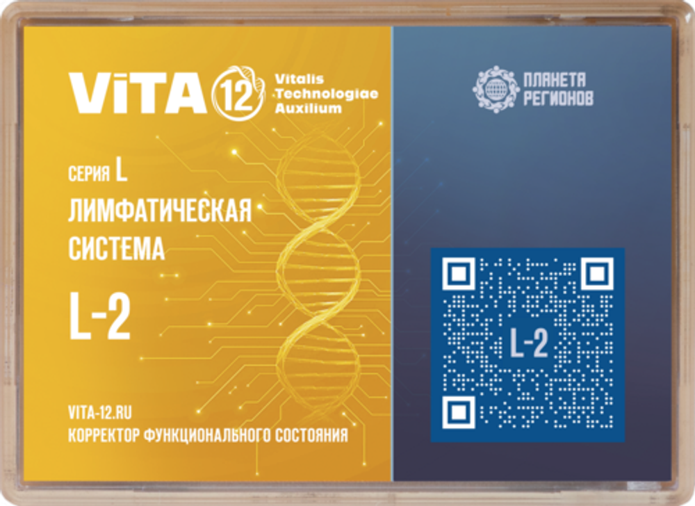 КФС 12 элементов L-2 серии &quot;Лимфатическая система&quot;
