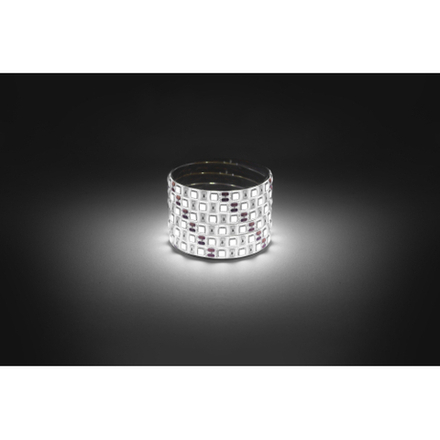 Светодиодная лента ЭРА LS5050-14,4-60-12-4000K-IP65-1 year-5m дневной белый 1 год