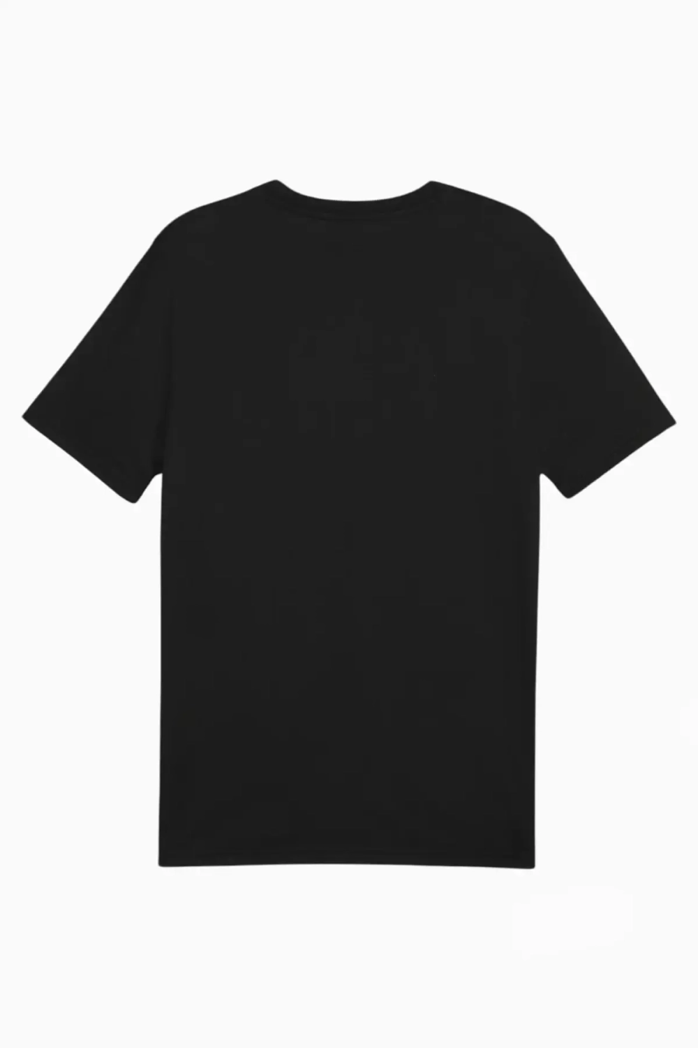 Футболка Puma teamFINAL Casuals