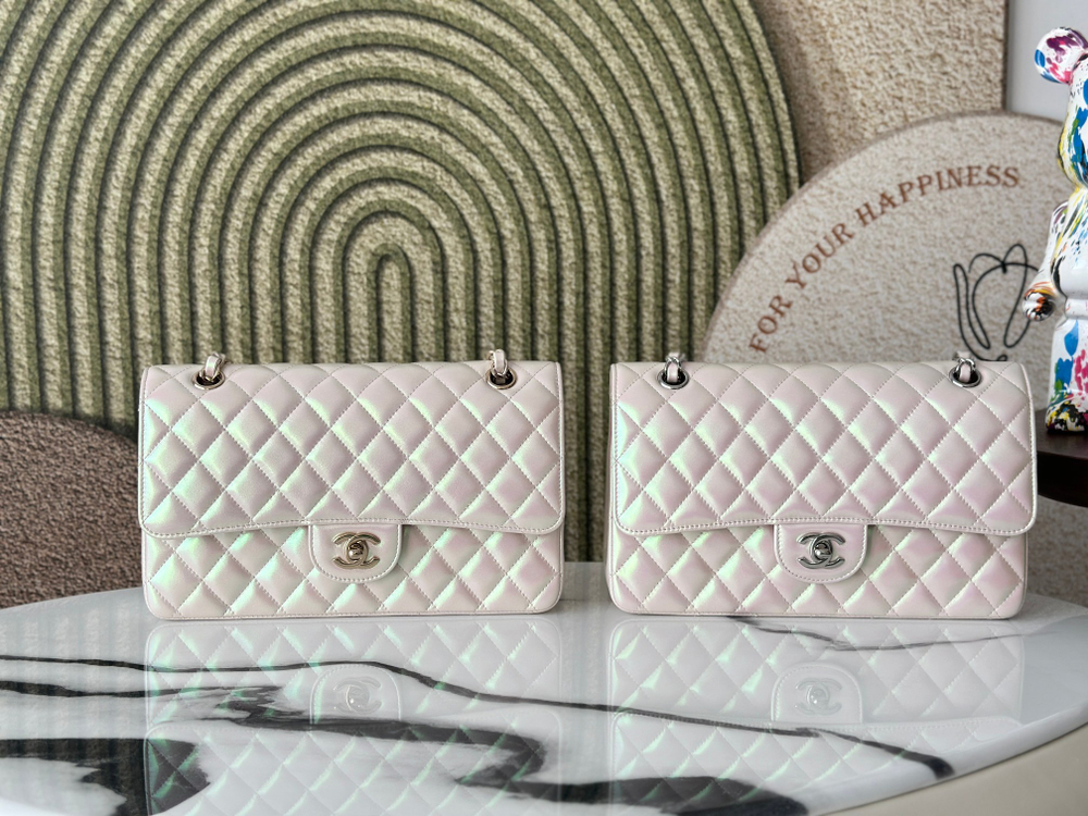 Chanel Bag 25 cm (2 variants)