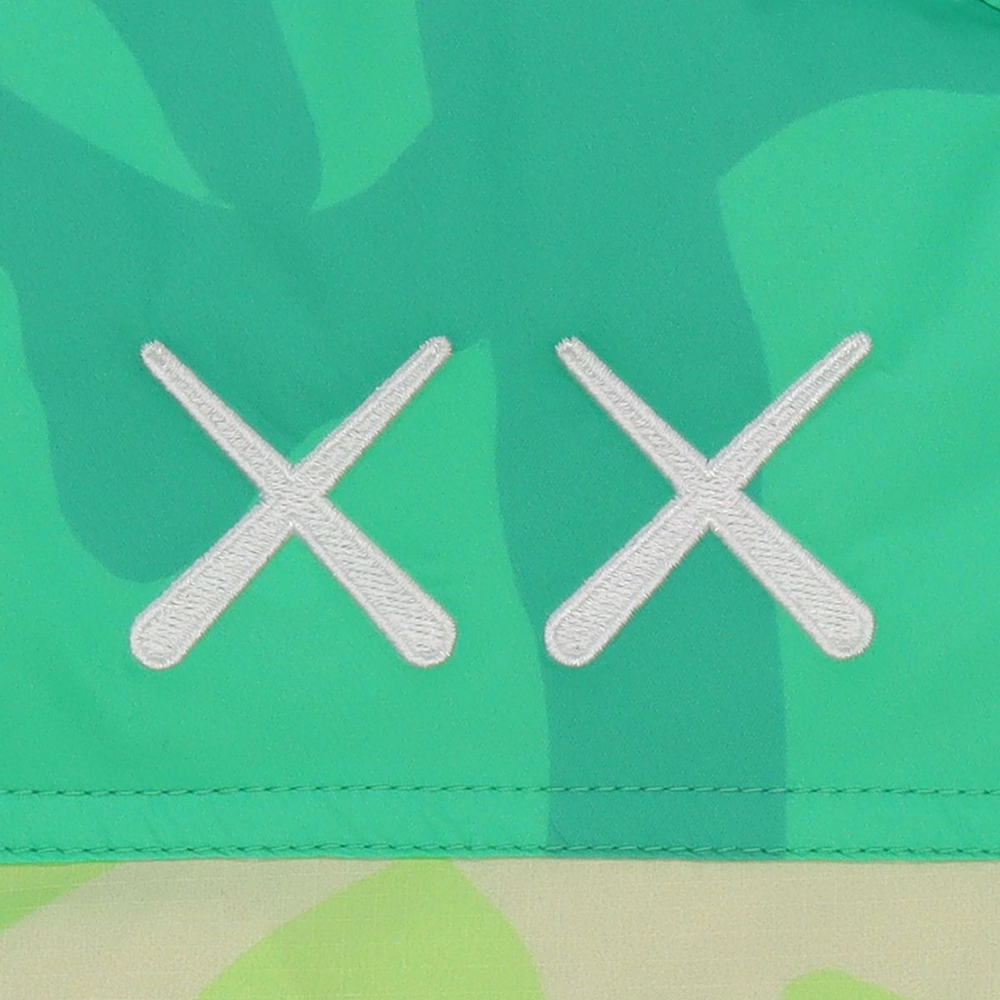 Куртки THE NORTH FACE 1996 KAWS 700 Logo, NF0A7WLX-75B