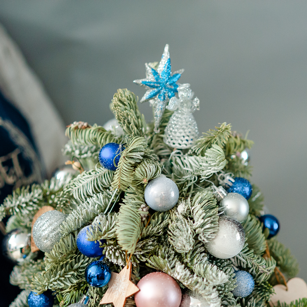 Новогодняя композиция из нобилиса 3