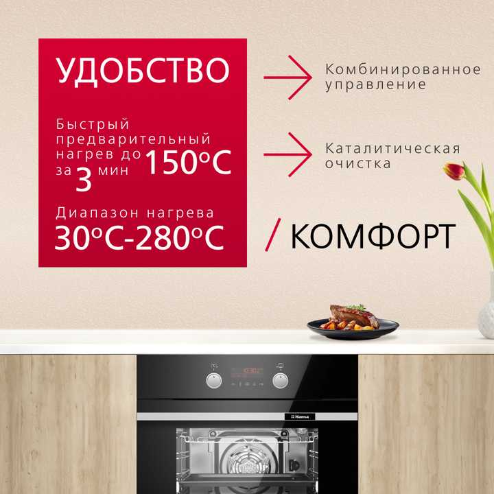 Духовой шкаф Hansa BakingPro BOESS696203