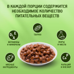 Говядина в соусе, 85г влажный корм для кошек KiteKat