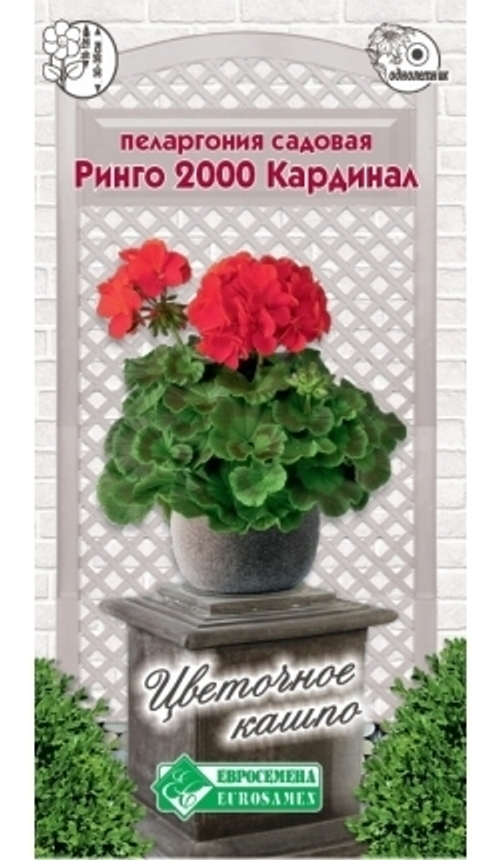 Пеларгония садовая (герань) Ринго 2000 Кардинал