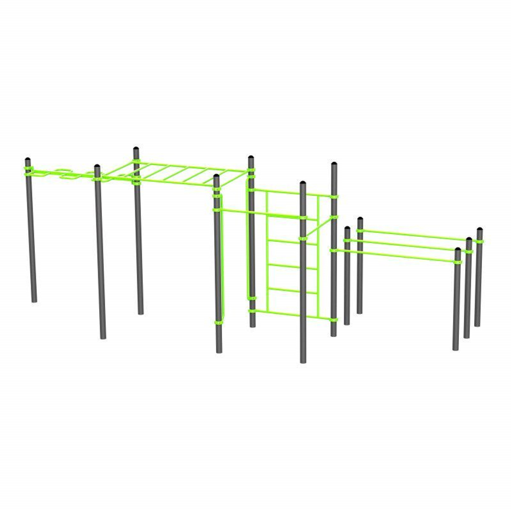 W329 Воркаут (рукоход змеевик и клас., швед стенка, 2 перекладины, брусья двойные) ZAVODSPORTA
