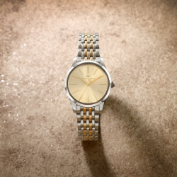 Philip Watch R8253208527