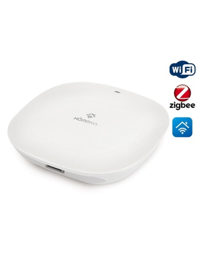 Блок управления (шлюз) HOMMYN Hub HH-01
