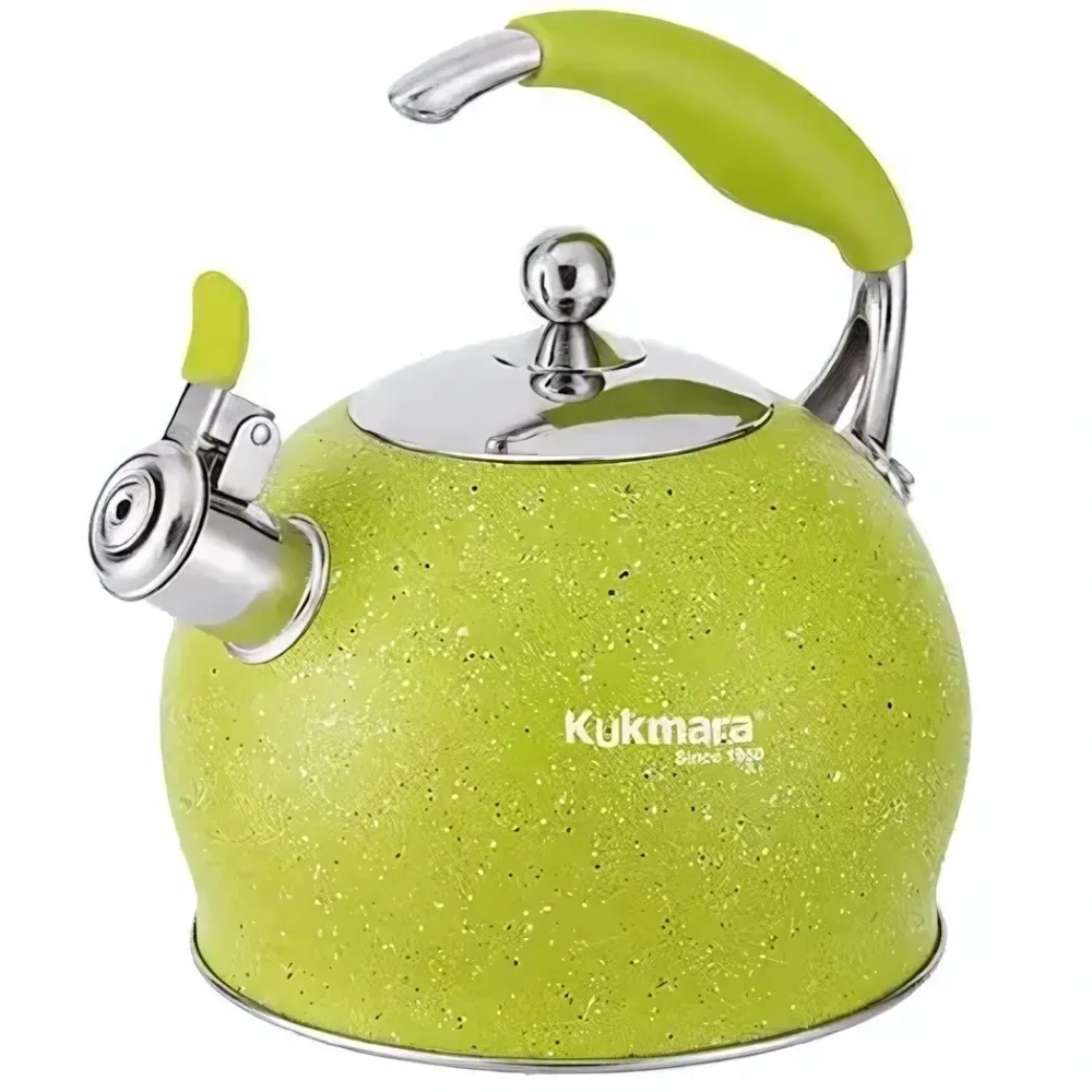 Чайник из нержавеющей стали, со свистком,3л, LIME