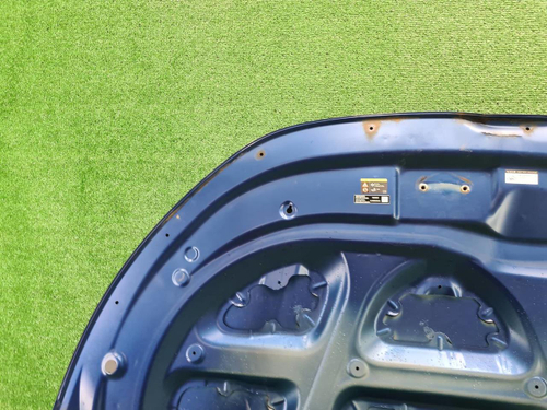 Капот Byd Tang 2 (2021-н.в.)