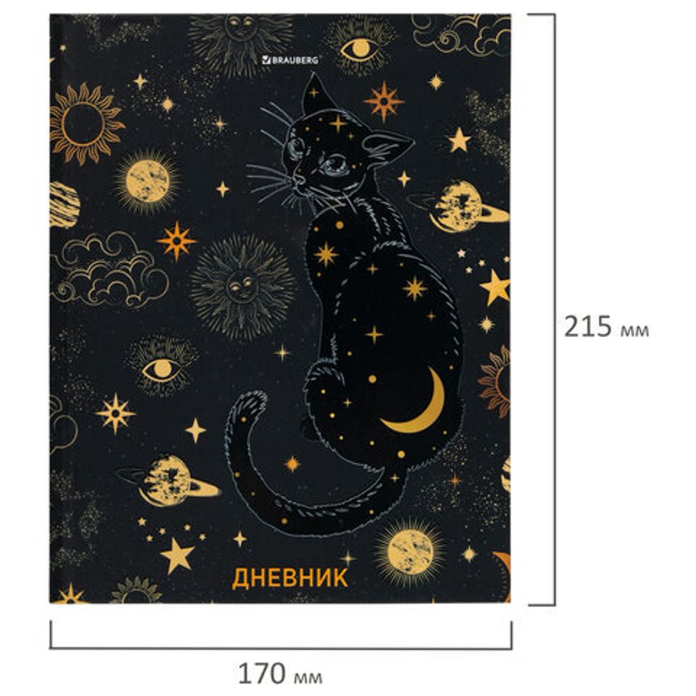 Дневник 5-11 класс 48 л., твердый, BRAUBERG, выборочный лак, с подсказом, "Astro Cat", 106415