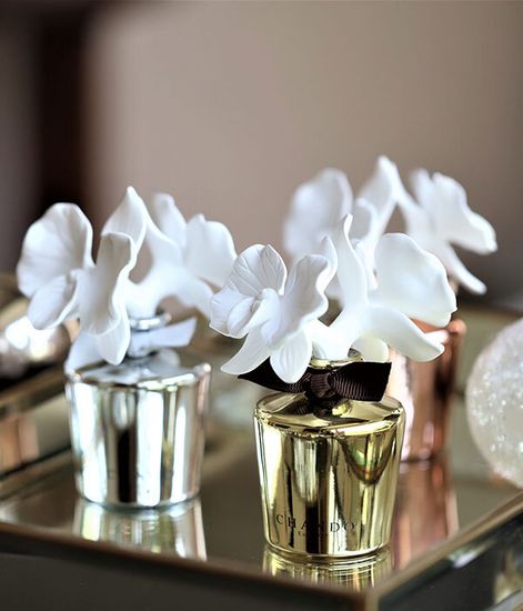 Showy Peony mini, ароматический диффузор с необычными палочками, Chando