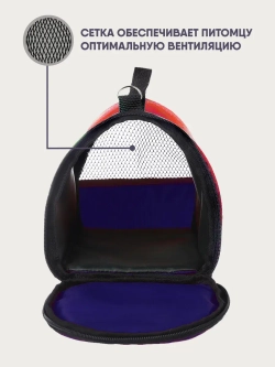 Переноска для грызуна, шиншилл, котят, 36х23х20 см