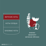 Свеча ароматическая gifting, Корица и яблоко, 40 ч