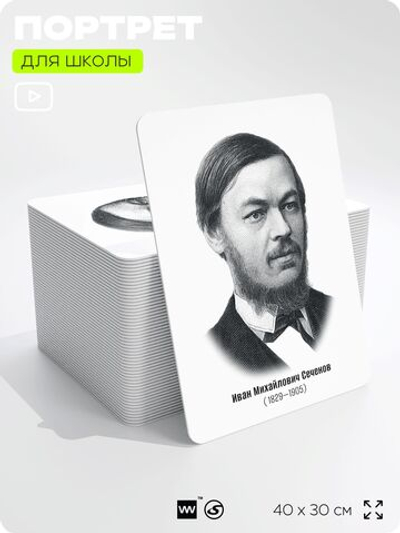 Портрет для школы в кабинет биологии "Иван Михайлович Сеченов", стенд школьный для класса, деятели науки для оформления классного уголка, 40х30 см, Silver Plane x Айдентика Технолоджи