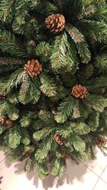 Ель с шишками «Снежная королева зелёная» (Пвх) 240 см / 2.4 м