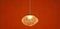 Подвесной светильник Freya Modern Mote FR5601PL-01TR