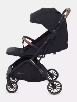 Коляска прогулочная Rant Basic Joy 2025 Gold black
