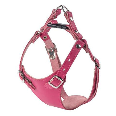 Шлейка кожаная "Белла" обх. шеи 200-280мм, обх.гр. 280-360мм , Gamma