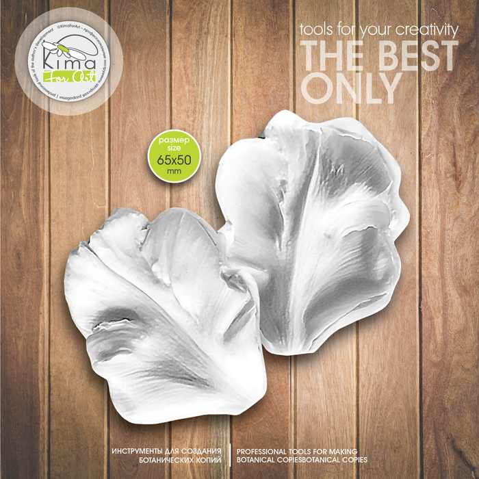 Тюльпан попугайный универсальный