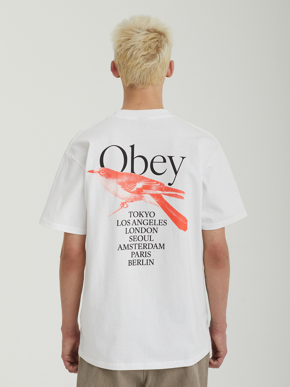 Мужская Футболка Obey Bird