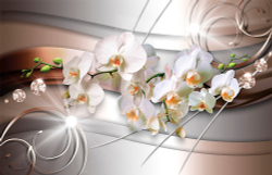 Коллекция 3D эффекты