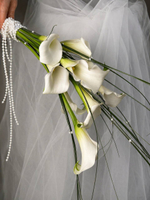 доставка цветов казань, доставка цветов, доставка букетов казань, цветочный казань,цветочный магазин казань , Заказать букет с доставкой Казань, розы Казань купить с доставкой, Диантусы Казань, сборные цветы купить для мамы, купить цветы для девушки, цветы кировский район, доставка цветов по городу Казань, свежие розы купить с доставкой Казань, быстрая доставка цветов в Казани, доставка за 1 час цветов Казань, пионы Казань купить свежие с доставкой, пионы Казань, цветы казань, цветы с доставкой казань, свежие цветы, тюльпаны Казань