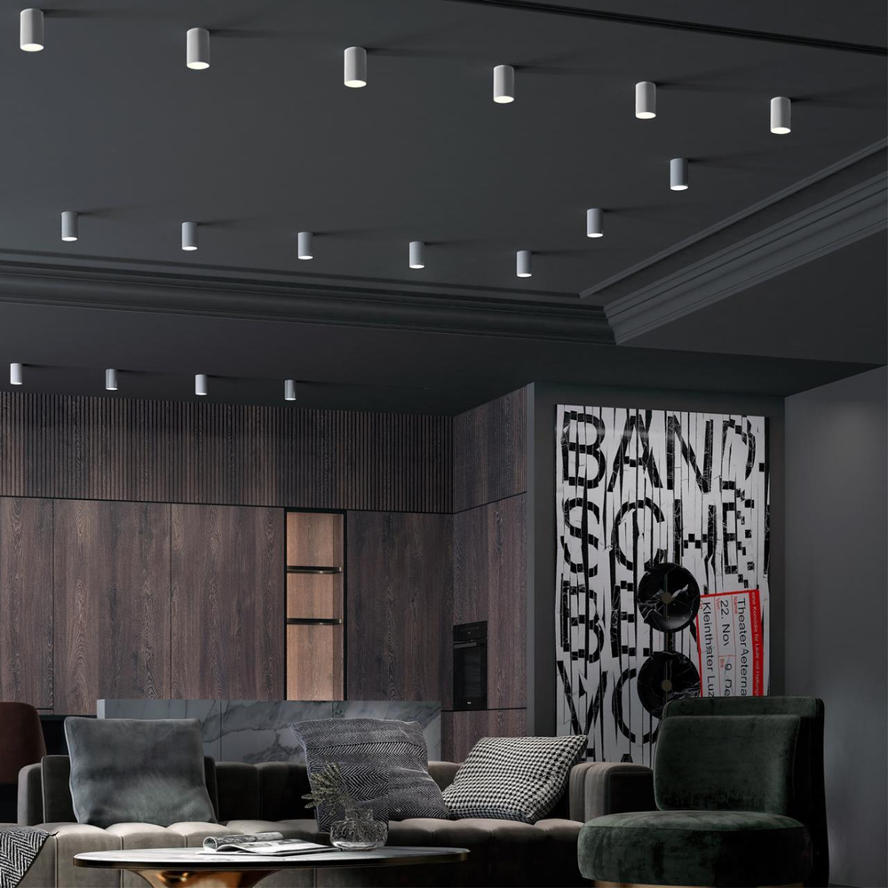 370726 OVER NT21 424 белый Светильник накладной IP20 GU10 9W 235V ELINA