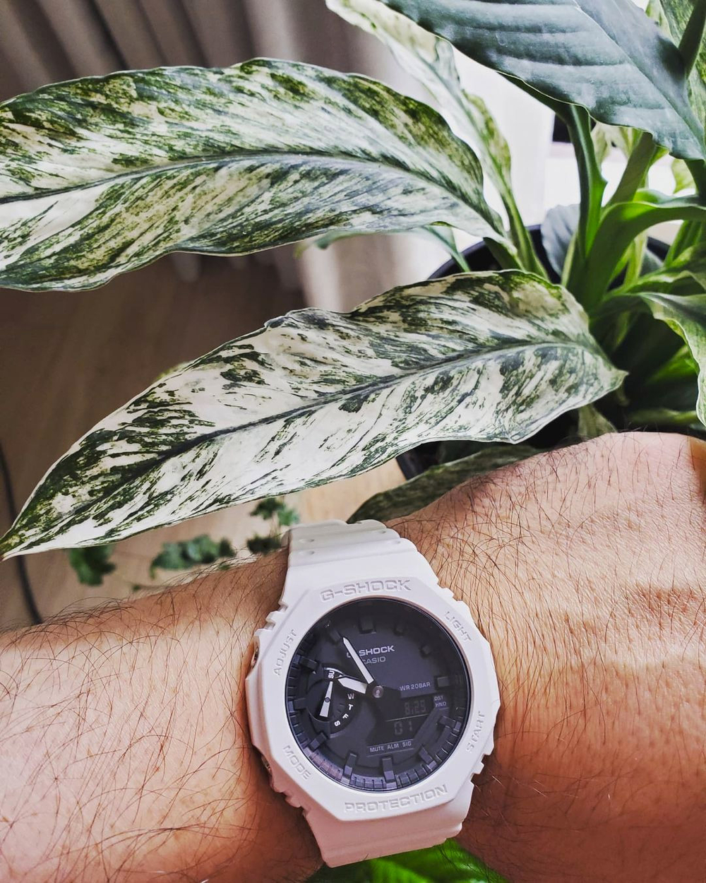 Часы Casio GA-2100-7AER