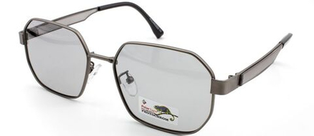 СЗ очки POLAR EAGLE фотохром 06117 C3