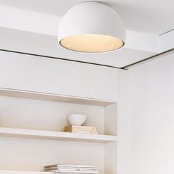 Потолочный светильник BARA B D50 White Трехцветный свет