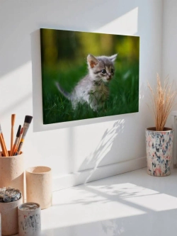 Картина на стену 40 X 50 Котенок